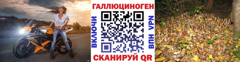 Галлюциногенные грибы Cubensis  даркнет сайт  ссылка на мегу как войти  Нововоронеж 