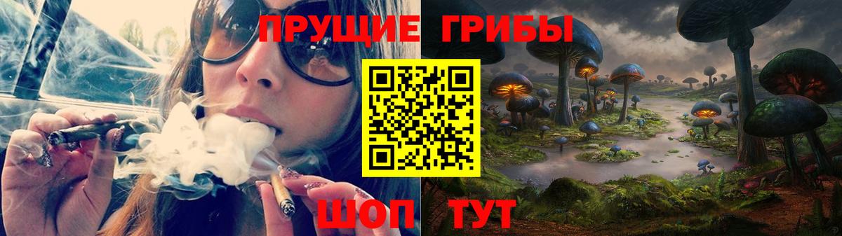 Псилоцибиновые грибы Cubensis  Нововоронеж 